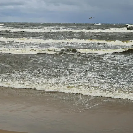 White Hotel Krynica Morska