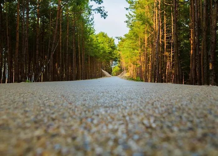 White Hotel Krynica Morska
