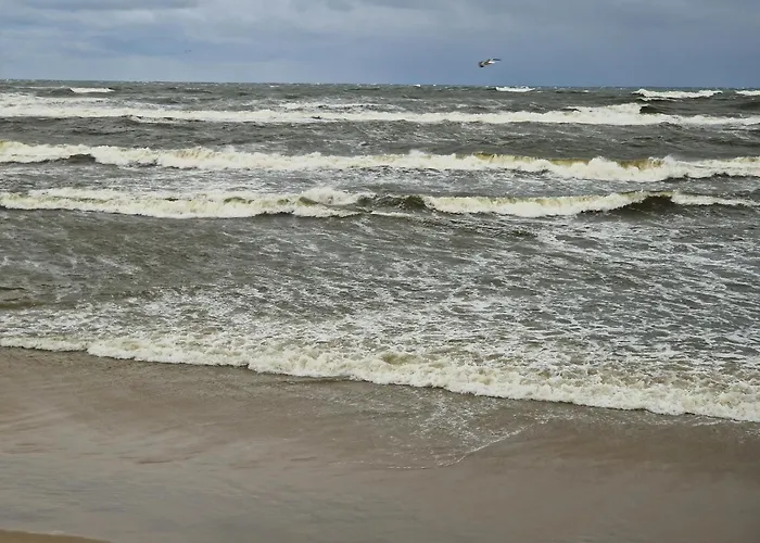 White Hotel Krynica Morska